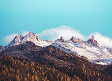 开云体育网址-德媒：维埃拉不愿回阿森纳，汉堡欲压价至1000-1200万欧