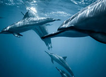 开云体育官网-从“观看型”转向“参与型” “苏超”重构体育消费新模式