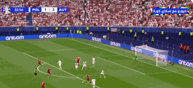 1718992050153013400.gif 波施.gif